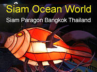 Siam Ocean World at Siam Paragon Bangkok, Thailand